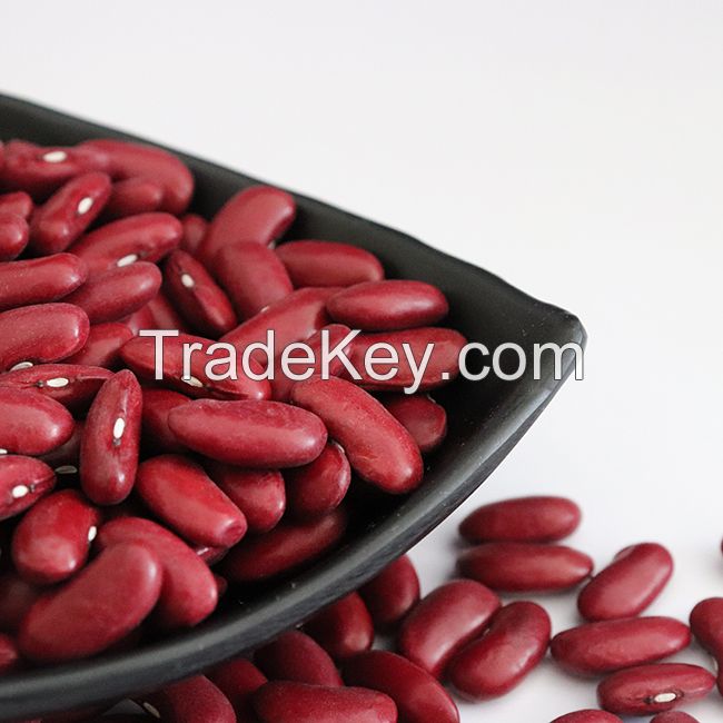 Kidney Beans