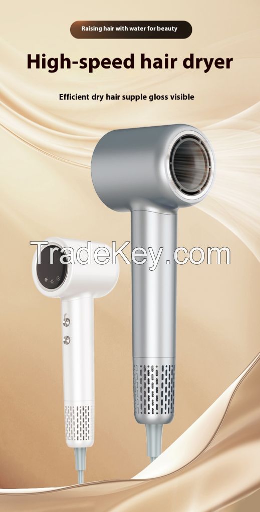 Hair Dryer, High-Speed Ionic Low Noise Blow Dryer with Brushless Motor for Fast Drying, Thermo-Control Quiet Compact Hair Blow Dryer with Magnetic Diffuser for Curly Hair for Home Travel Salon