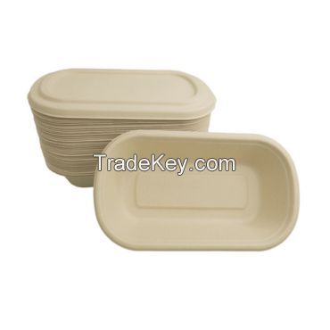 Biodegradable Bamboo Food Containers | Sustainable Meal Prep Solutions