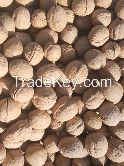 Walnut inshell,walnut kernels