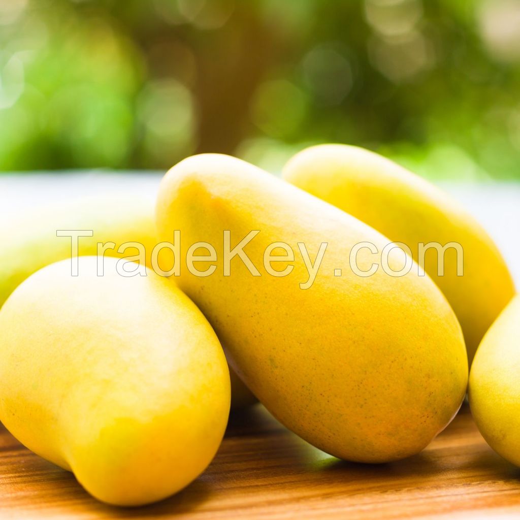  Best Seller Premium Sweet Mangos Fresh Mangos Fruit