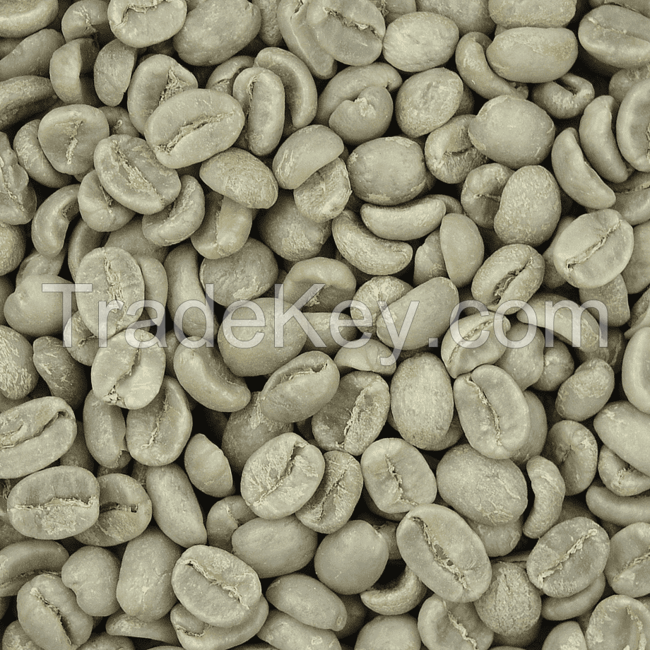 High Quality Robusta Coffee Beans 20kg Carton