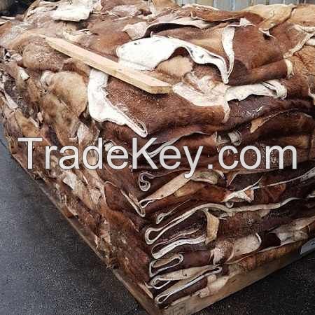 Wet and Dry Salted Cow Hides/ Wet Salted Cattle Hides
