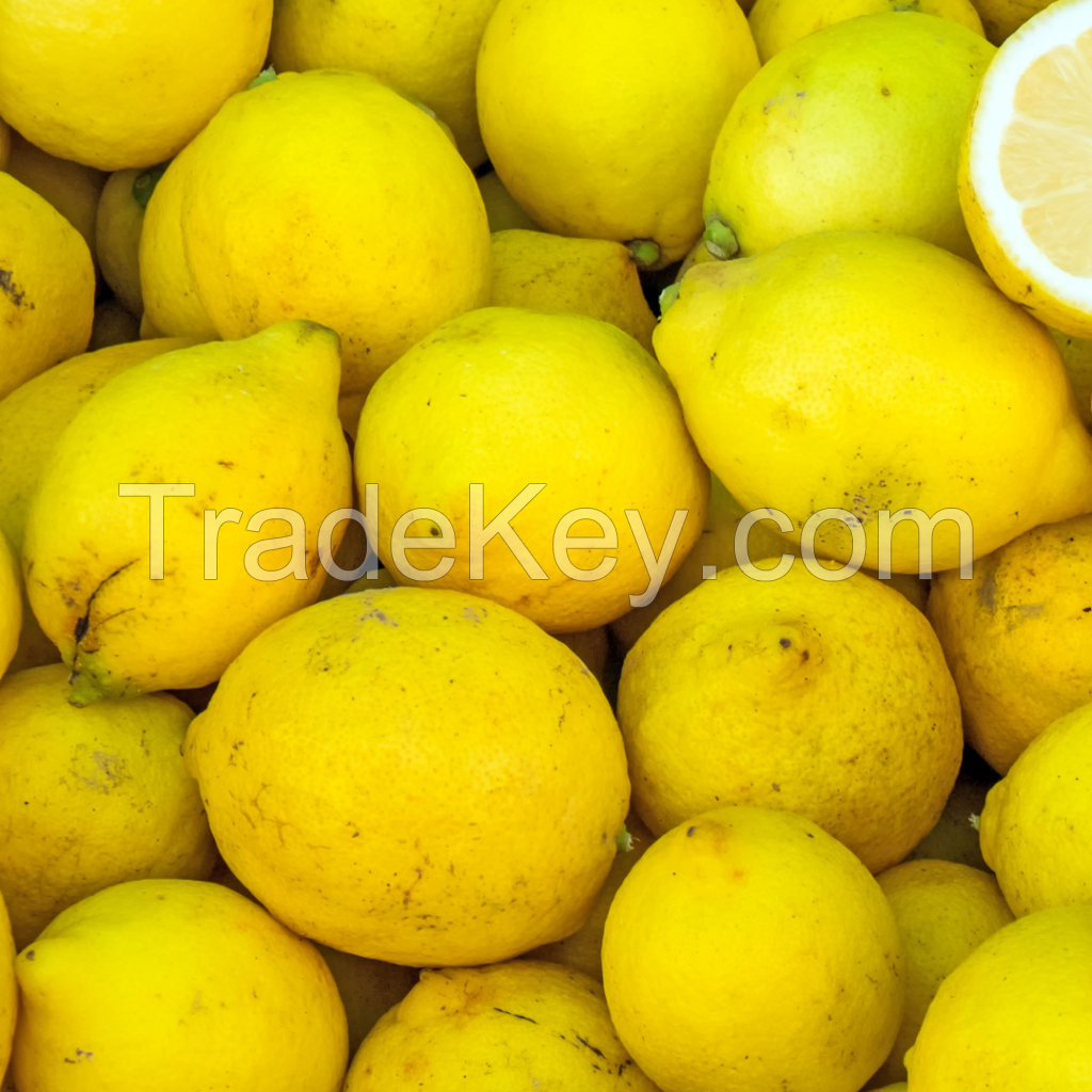 Best Quality Lemons for sale