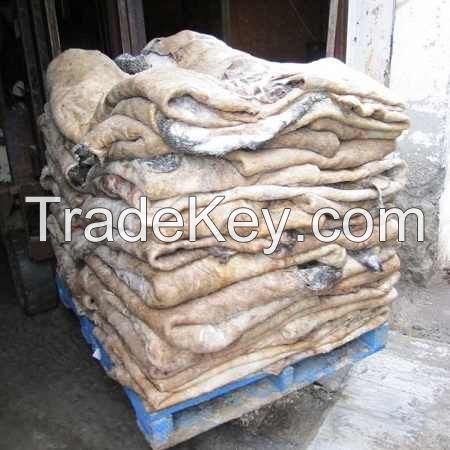 Wet and Dry Salted Cow Hides/ Wet Salted Cattle Hides