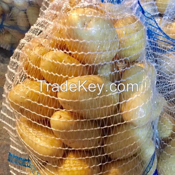 Fresh White Holland Potato/ Red Irish Potato Hot Sale Fresh New Crop for Export