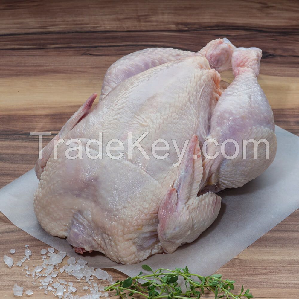 High Quality Chicken Frozen Wholesale Cheap Price