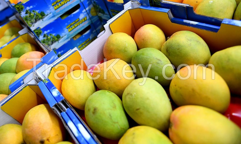  Best Seller Premium Sweet Mangos Fresh Mangos Fruit