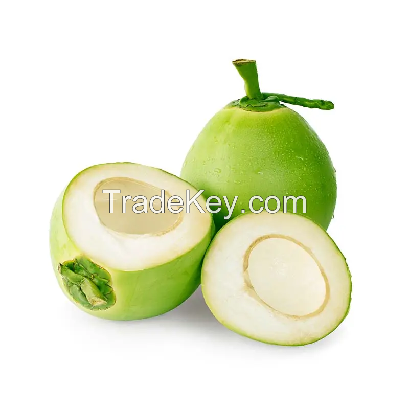 Fresh Green Young Coconut Top Quality Best Price Coconut for Wholesales
