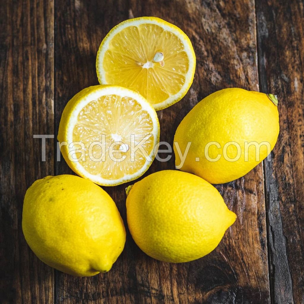 Best Quality Lemons for sale