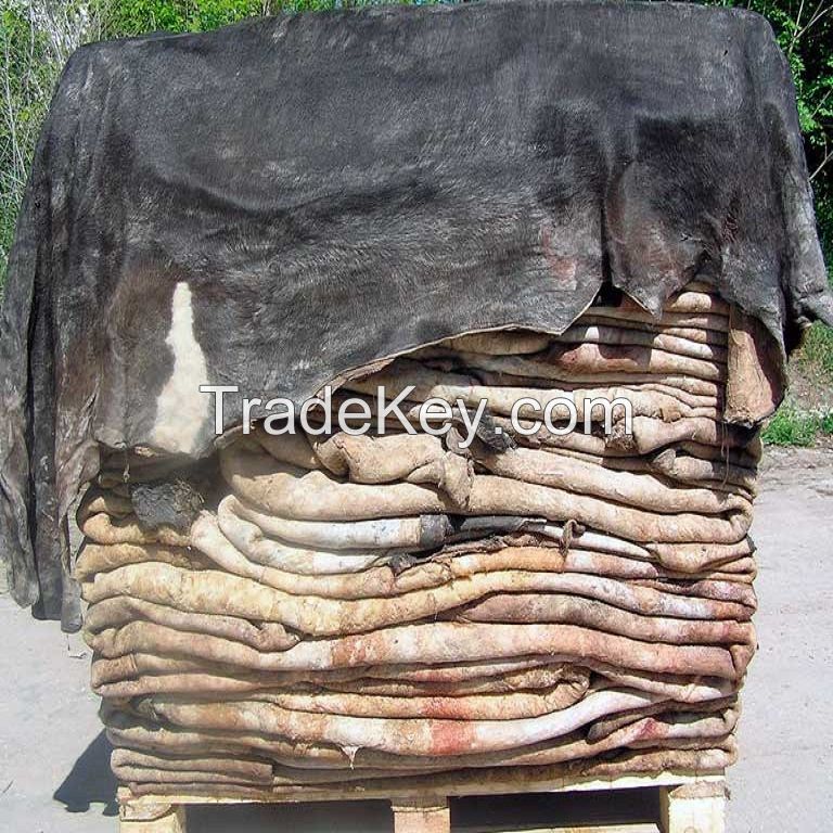Wet and Dry Salted Cow Hides/ Wet Salted Cattle Hides