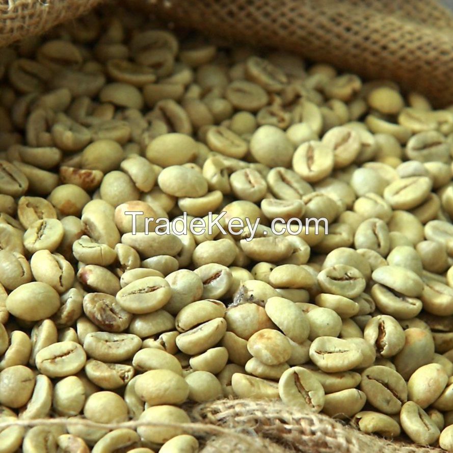 High Quality Robusta Coffee Beans 20kg Carton