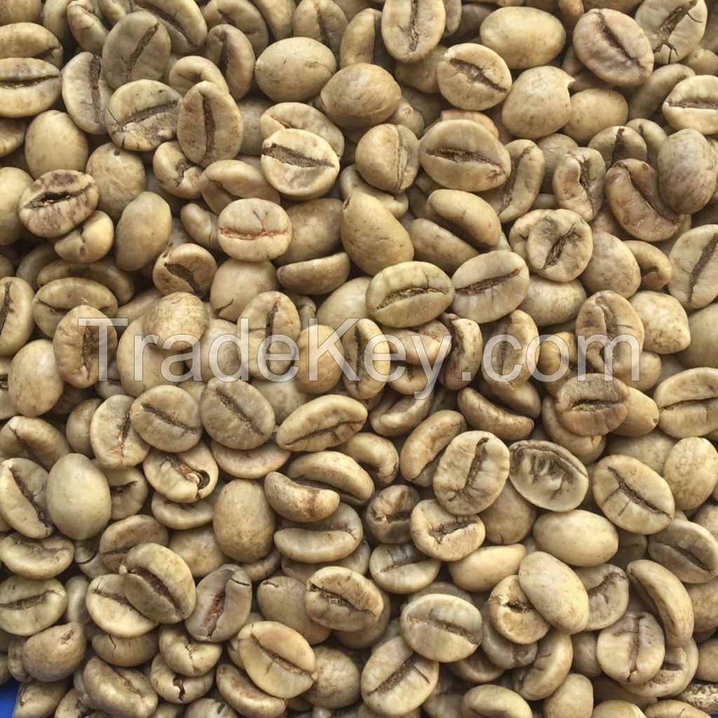 High Quality Robusta Coffee Beans 20kg Carton