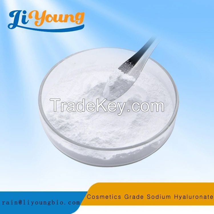 Cosmetics Grade Sodium Hyaluronate