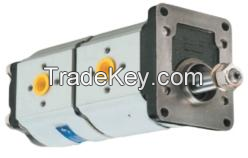 High Pressure Double Gear Hydraulic Pump  