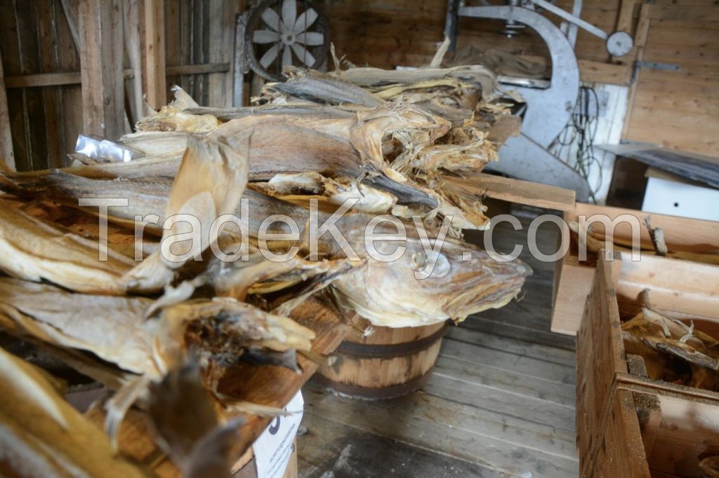 Buy Stock fish of Cod in 45Kg bales Dryfish Stockfish (Dried Cod)