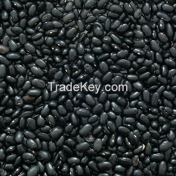 Best Quality Supplier black kidney Beans For Sale/Kidney Beans Export Black Kidney Beans Cheap Price