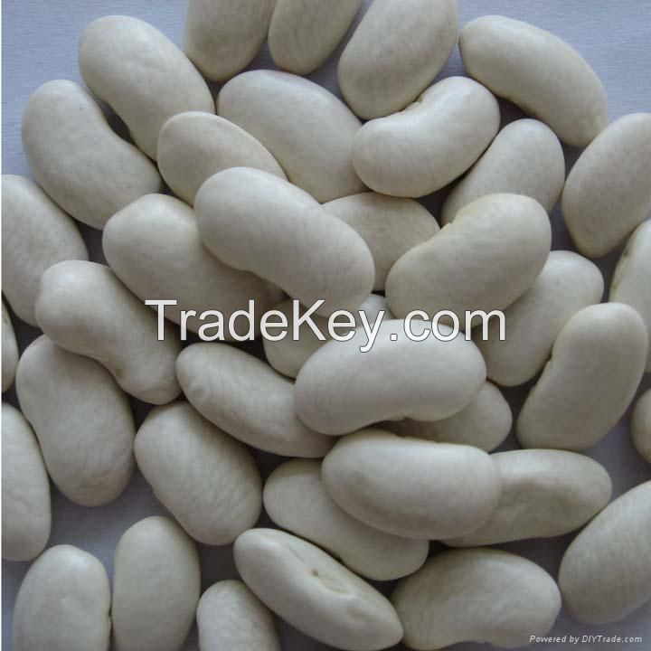 Best Quality Supplier black kidney Beans For Sale/Kidney Beans Export Black Kidney Beans Cheap Price