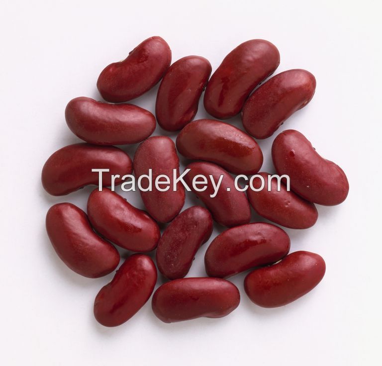 Best Quality Supplier black kidney Beans For Sale/Kidney Beans Export Black Kidney Beans Cheap Price