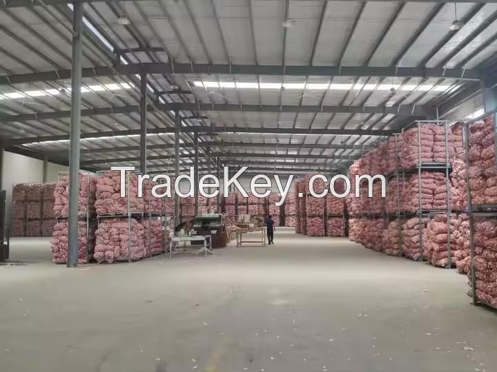 Cheap price garlic hot sale 5cm fresh white garlic wholesale 2024 newest crop high quality normal white garlic export