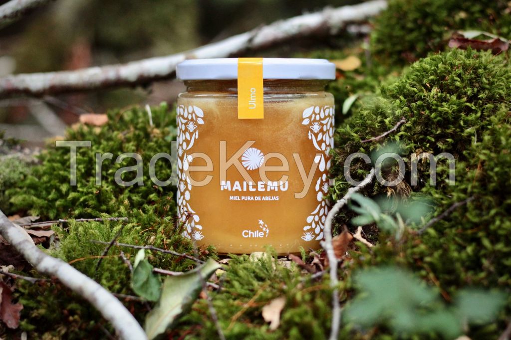 Raw Patagon Honey