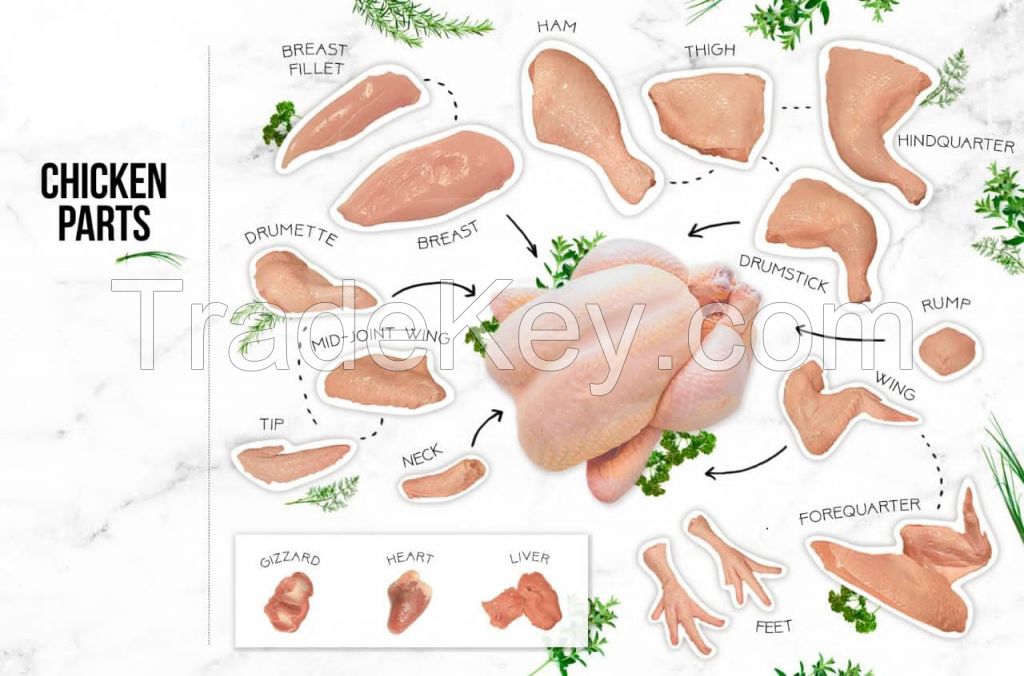 Brazil Chicken Feet Exporters - Frozen Chicken Paws Wholesale,Frozen Chicken Paws Supplier