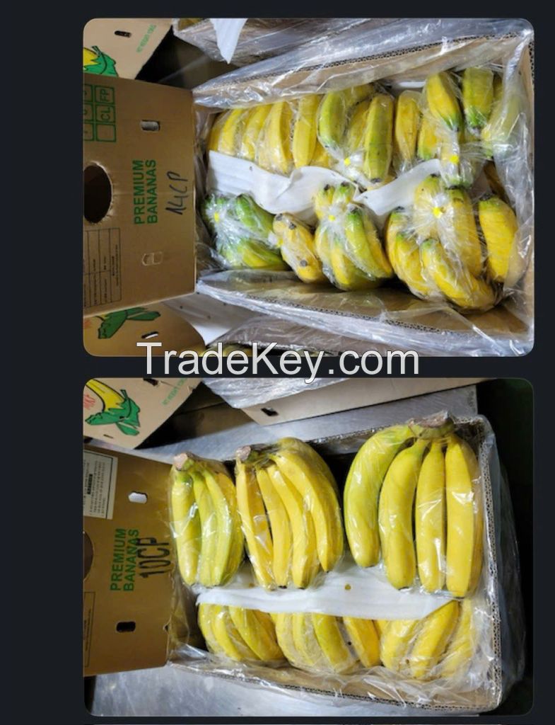 Vietnamese Fresh Cavendish banana