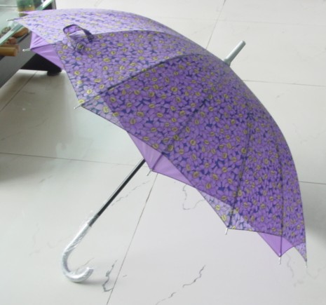 Umbrella