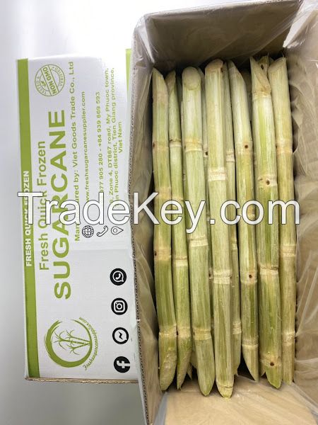 Frozen sugarcane VIET GOODS TRADE