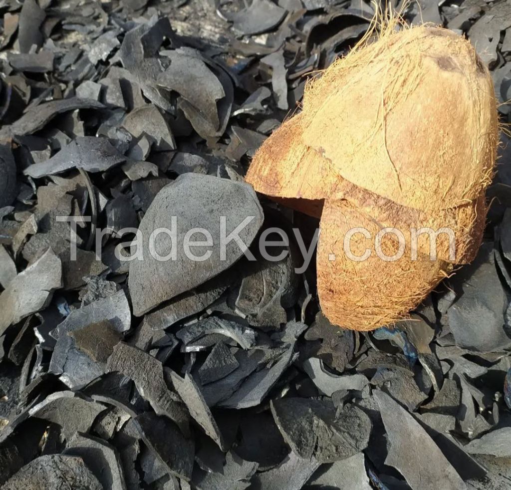 hardwood charcoal back coconut shell charcoal spesialis