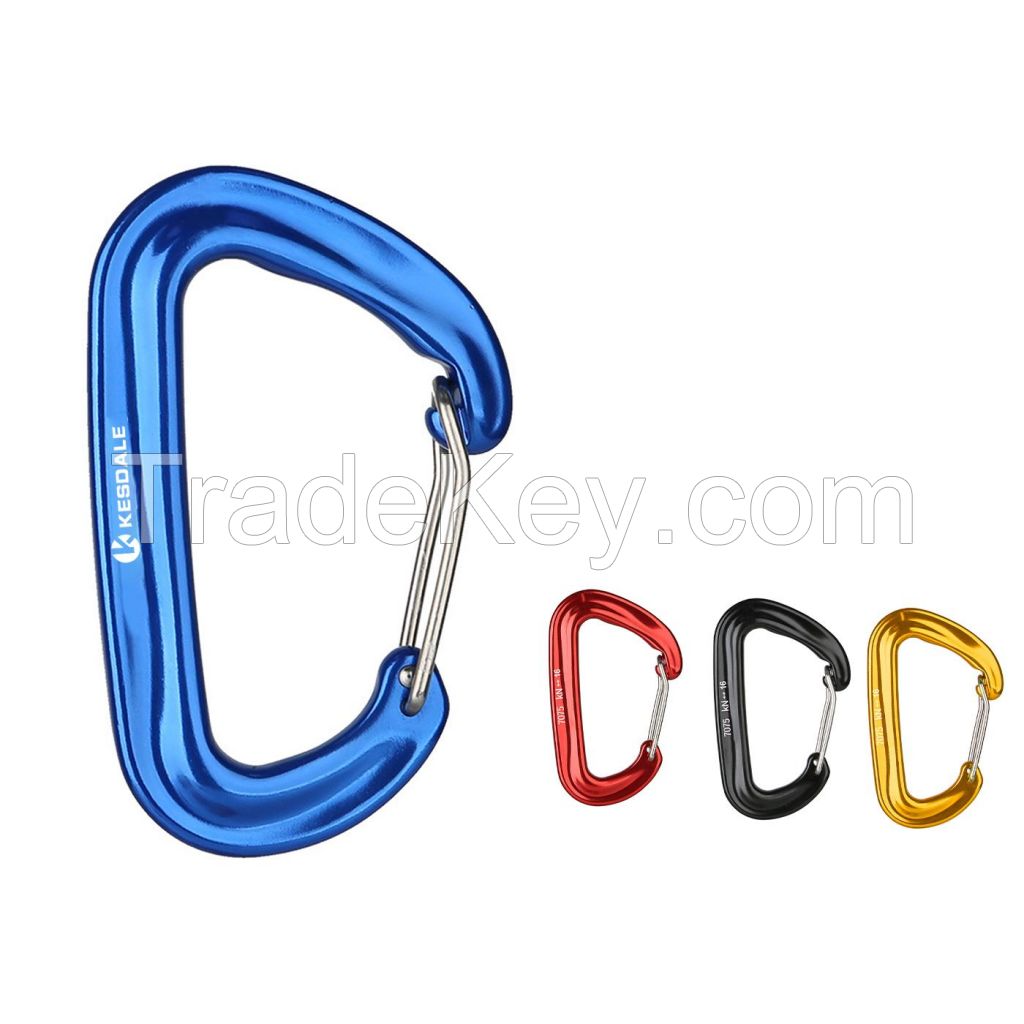 Custom D Type Spring Carabiner Hook