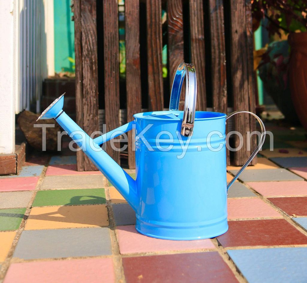 Watering Can With 2 Handles