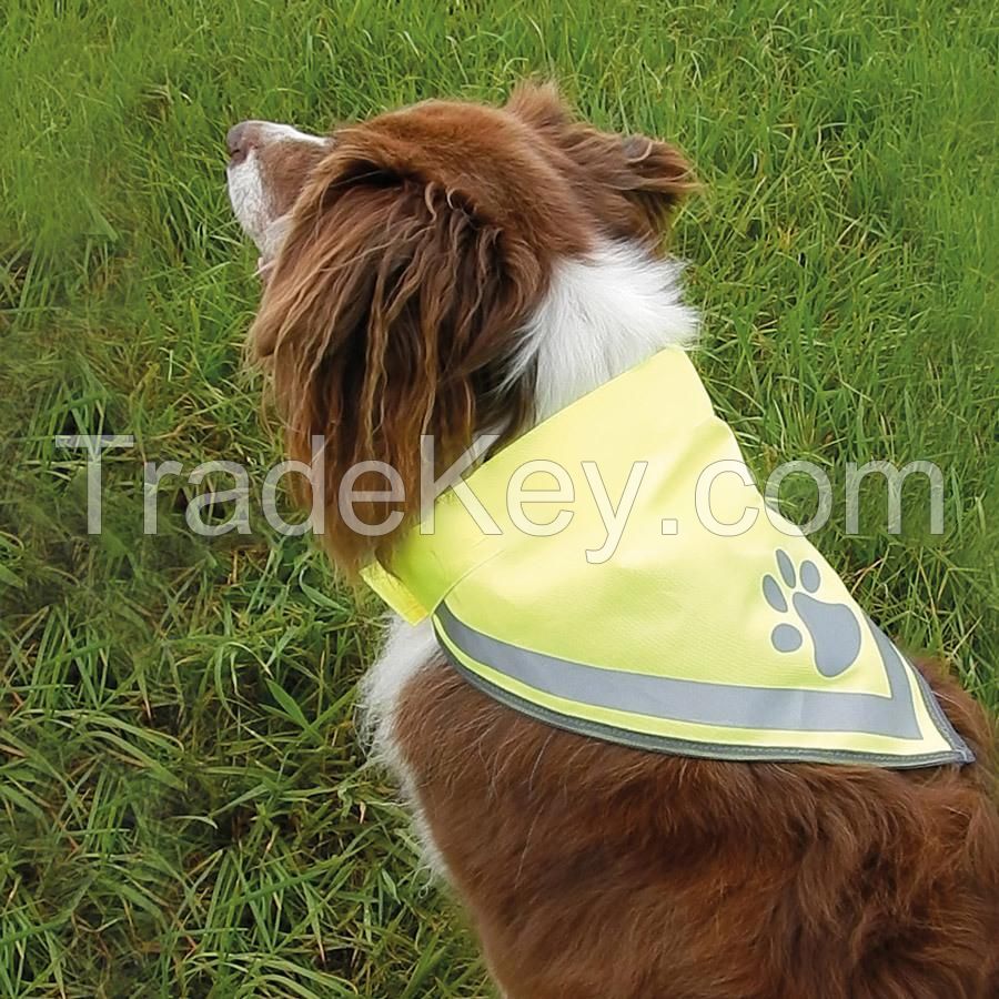 Reflective Pet Triangle Scarf