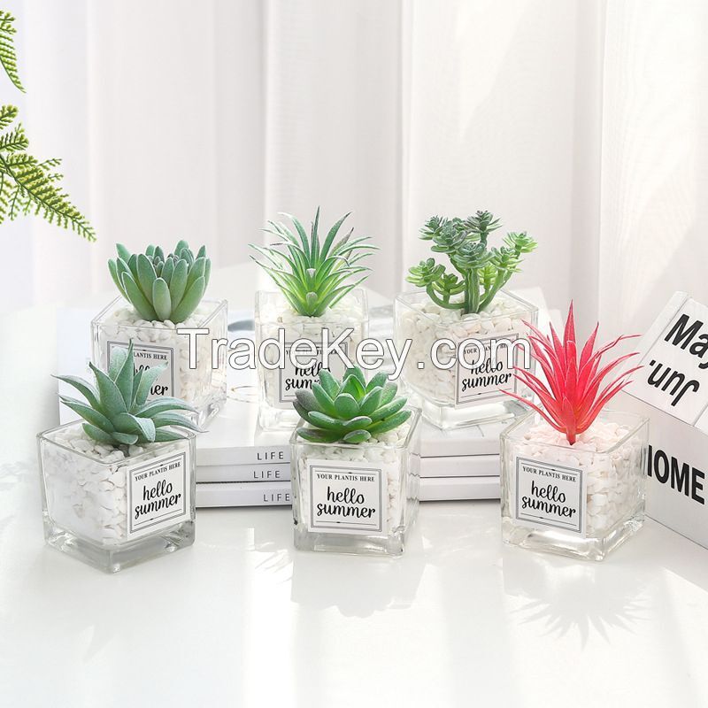 Mini Artificial Succulent Plant With Glass Pot