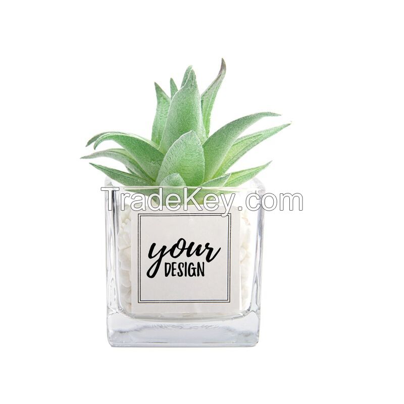 Mini Artificial Succulent Plant With Glass Pot