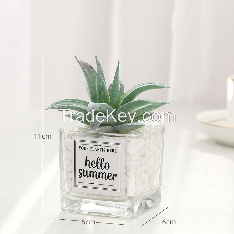 Mini Artificial Succulent Plant With Glass Pot