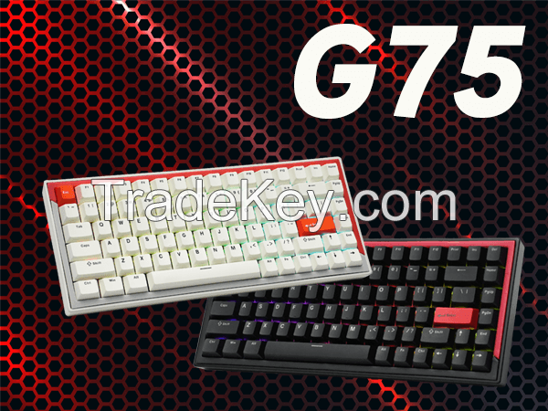 DrunkDeer G75 Rapid Trigger Mechanical Keyboard, TKL Gaming Keyboards, Magnetic Switch Keyboard, 75% Layout - 84 Keys, RGB