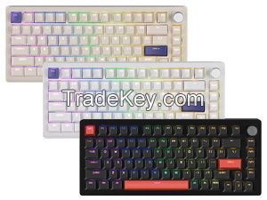 DrunkDeer A75 Rapid Trigger Mechanical Keyboard, TKL Gaming Keyboards, Hyper Fast Magnetic Switch Keyboard, RGB Compact 82 Keys