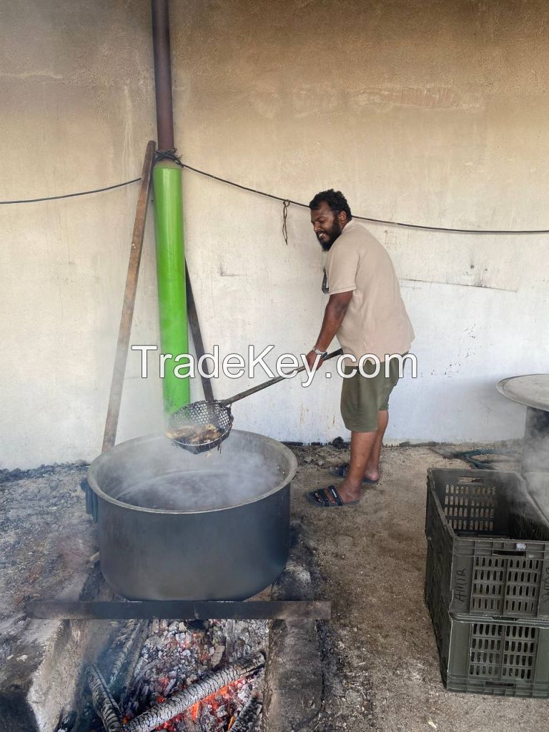 Dried Fish and Dried Sea Cucumber