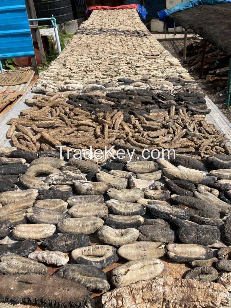 Dried Fish and Dried Sea Cucumber