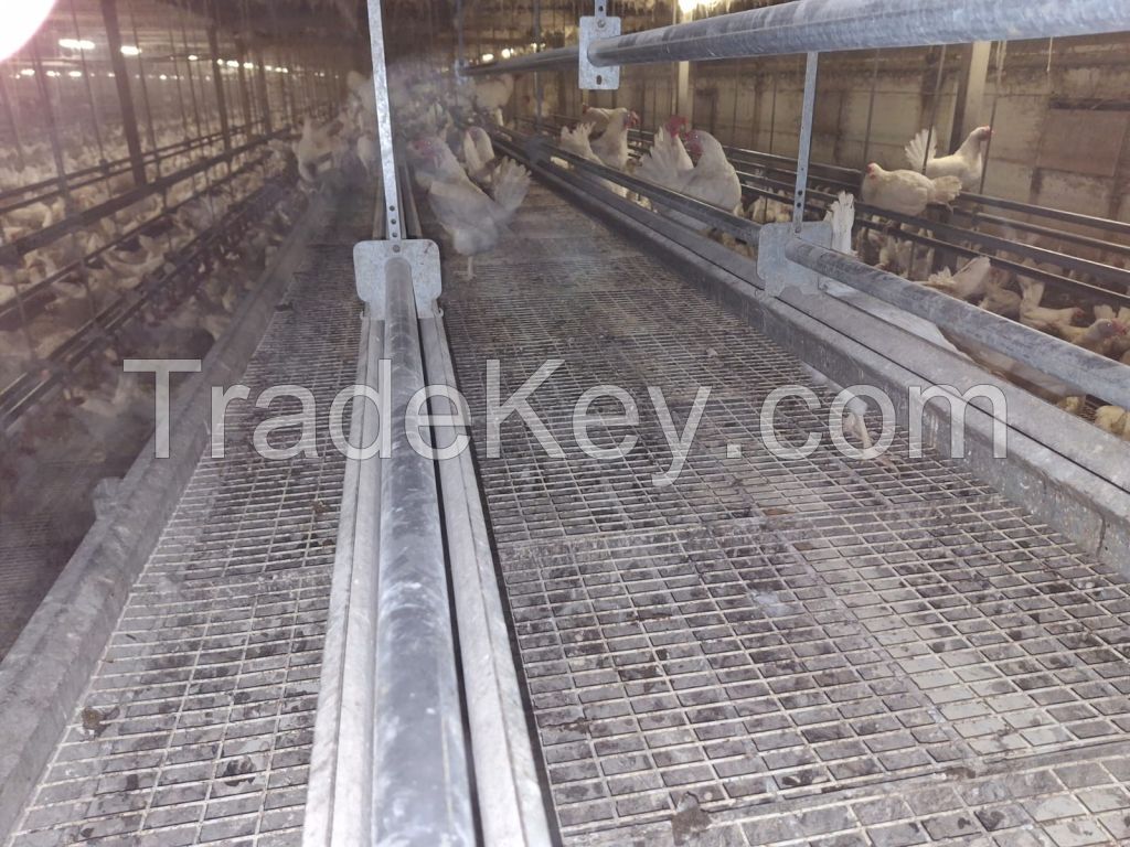 Farmer Automatic poultry system from Holland