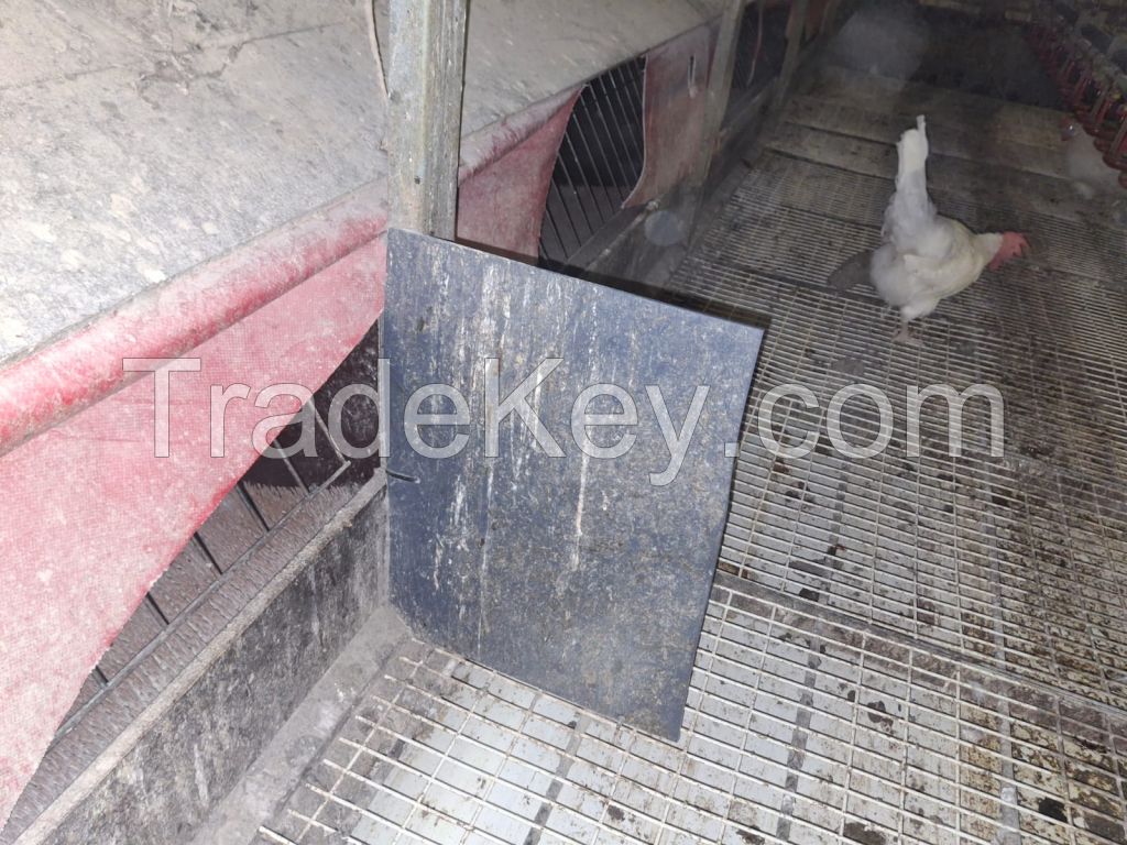 Farmer Automatic poultry system from Holland