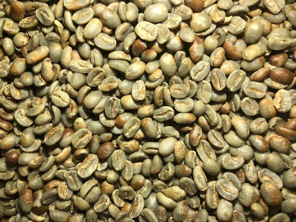 Specialty Arabica Honey Process Green Coffee Beans