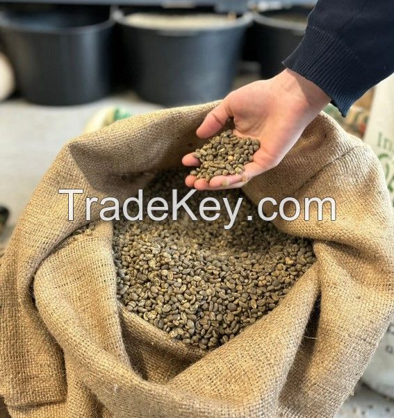 Specialty Arabica Full Washed Wash Process Green Coffee Beans