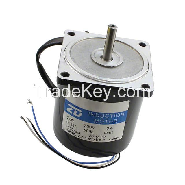 DSPIC33F AC INDUCTION MOTOR