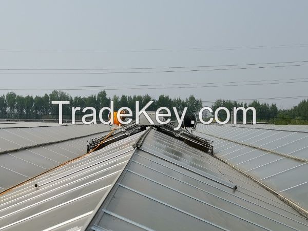 Greenhouse roof cleaning system