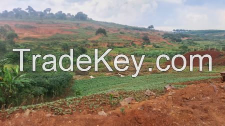 Industrial land leasing opportunities and BOT/Co-business partnerships in Uganda