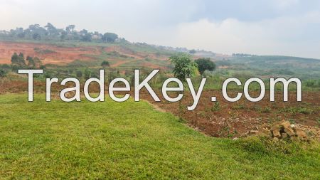 Industrial land leasing opportunities and BOT/Co-business partnerships in Uganda