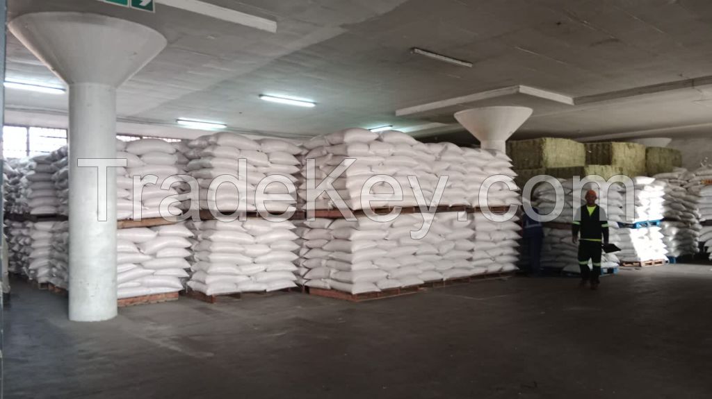 Yellow Maize Animal Feed