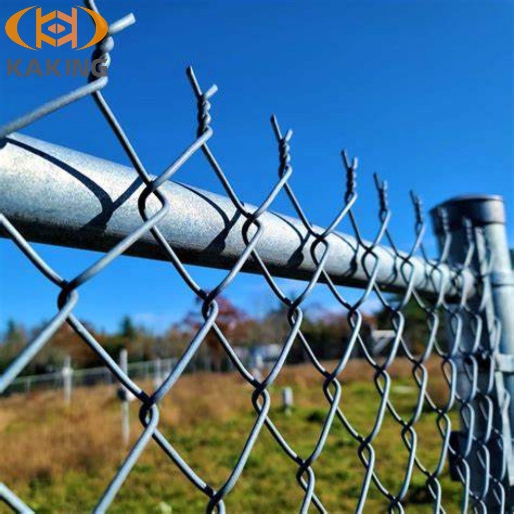 Chain Link Steel Wire Mesh Roll Galvanized and PVC Coated